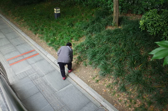 落とし物